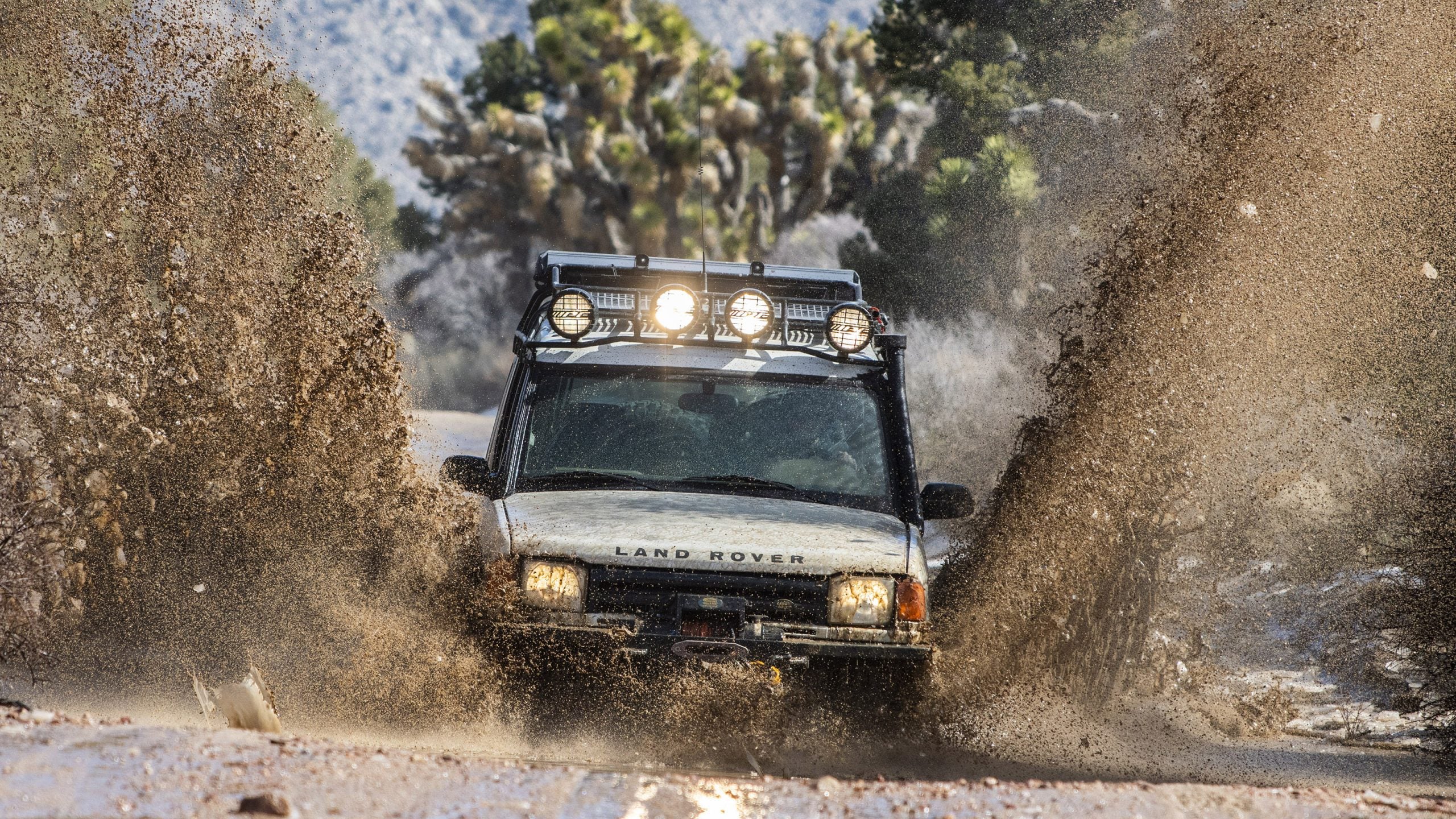 My old truck found a great new home.