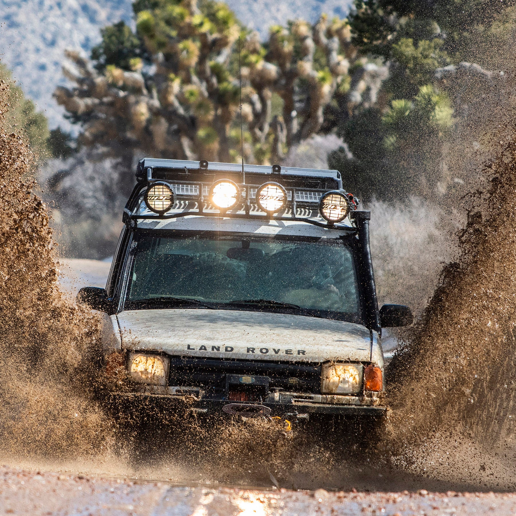 Overland Offroad at USFS Trail 3N16, Burns Canyon, Coxey Truck Trail in San Bernardino County, CA Sunday February 17th, 2019.