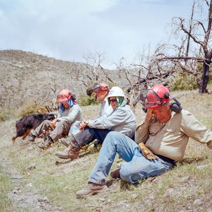 The Trail Gorillas work to conserve the Pacific Crest Trail and its environment.