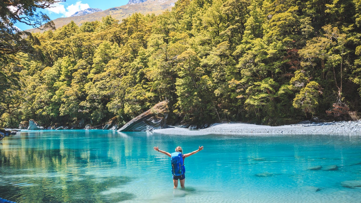 8 Can't-Miss New Zealand ϳԹs