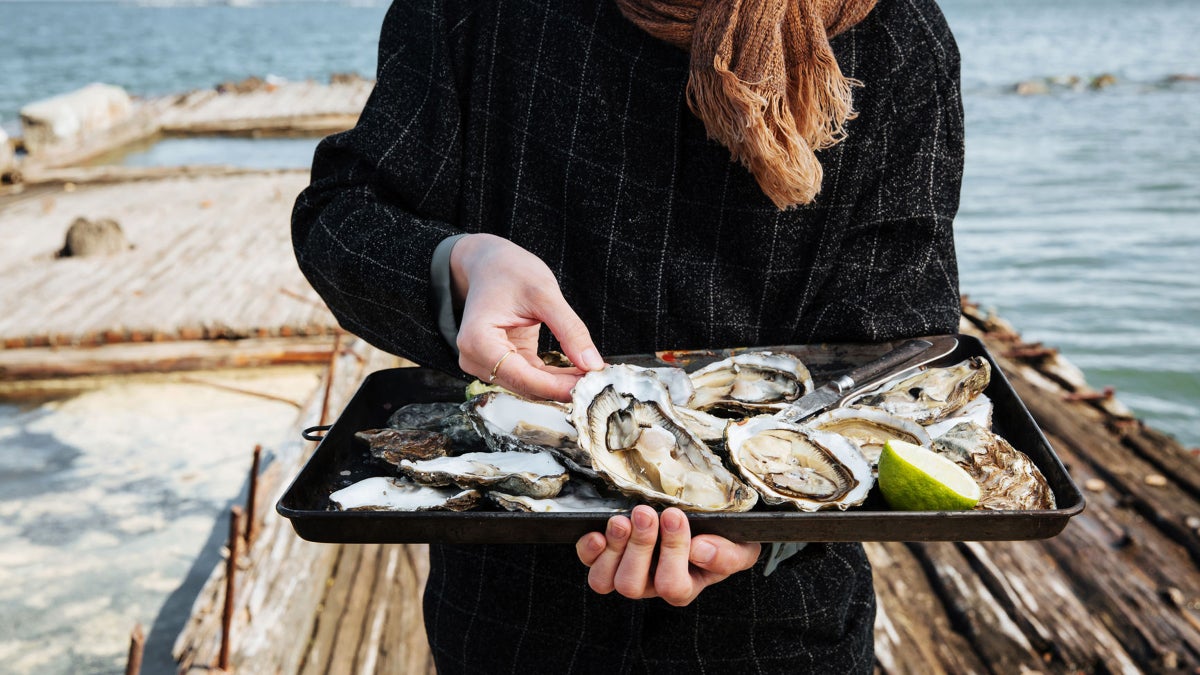 Eat More Oysters. It's Good for the Environment.