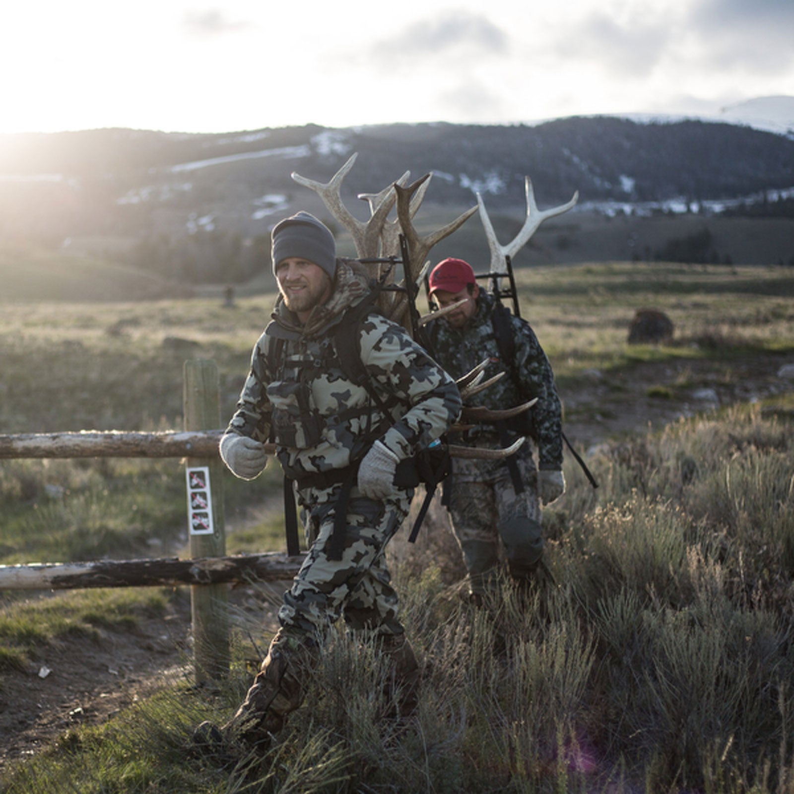 Why Some People Obsessively Hunt Elk Antlers