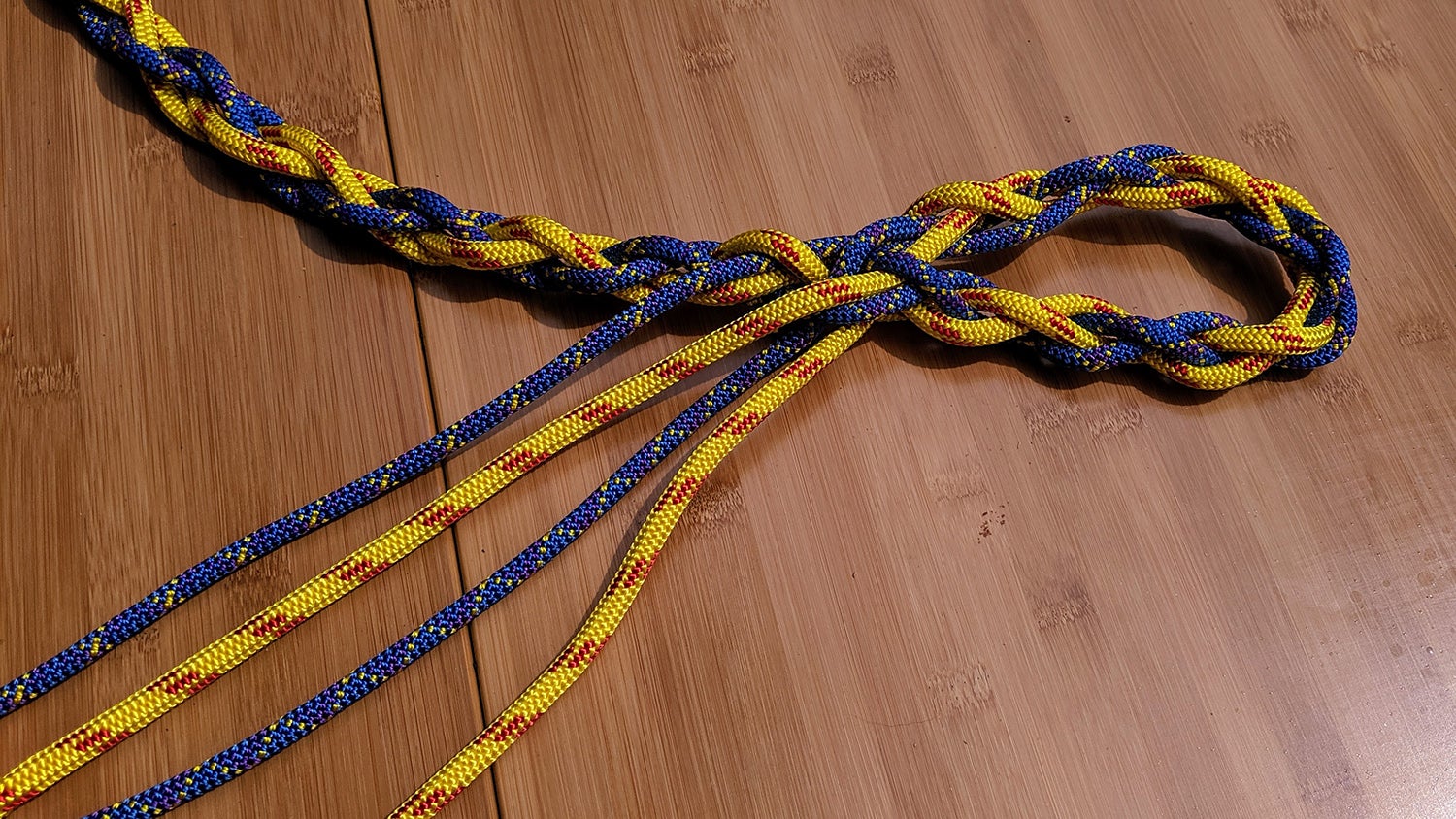 Diy rope dog clearance collar