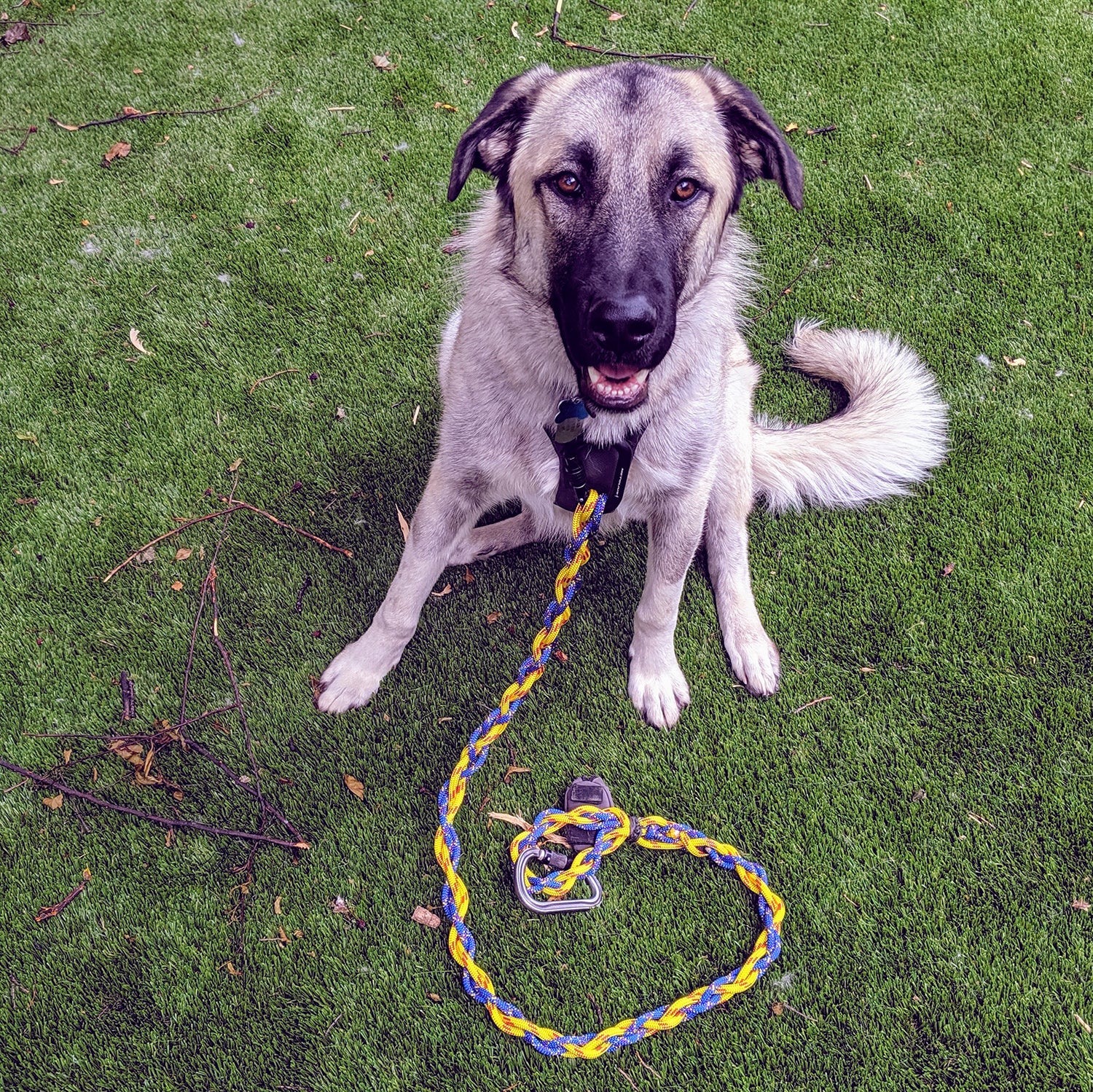 How to Make Your Own Dog Leash Outside Online