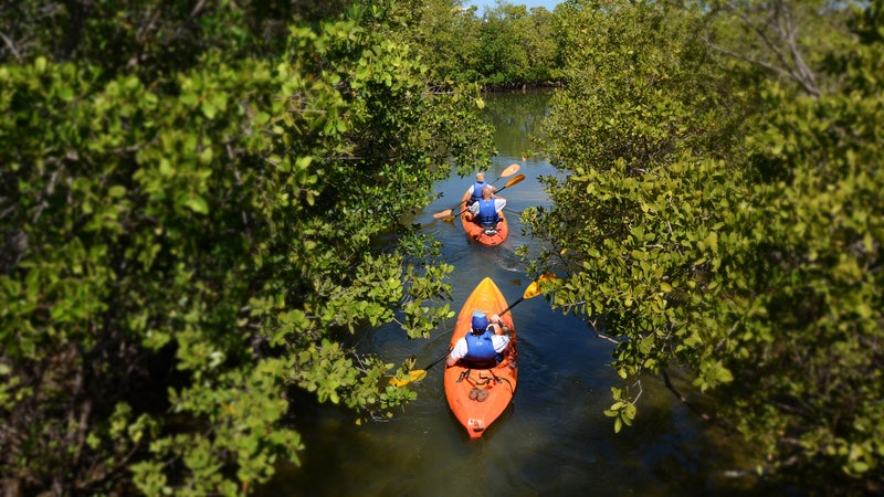 Paddling in Oleta River State Park