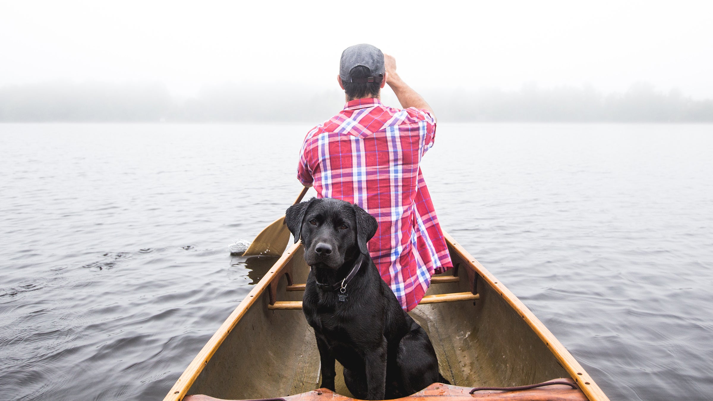 We had a peaceful June.