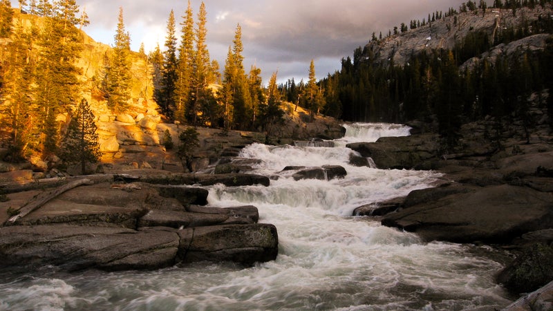 A swollen Tuolumne River as it plummets from Tuolumne Meadows into the Grand Canyon of the Tuolumne