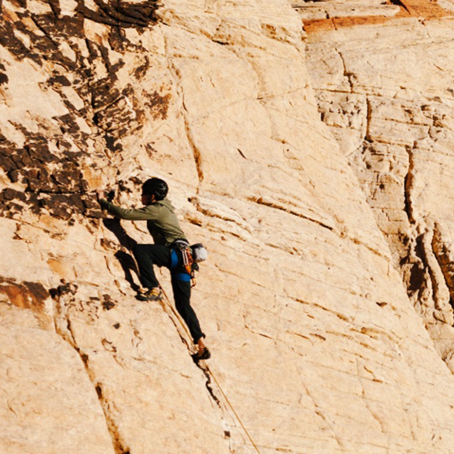 Rope Hook  Metolius Climbing