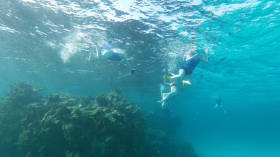 Exploring a reef in the Abacos