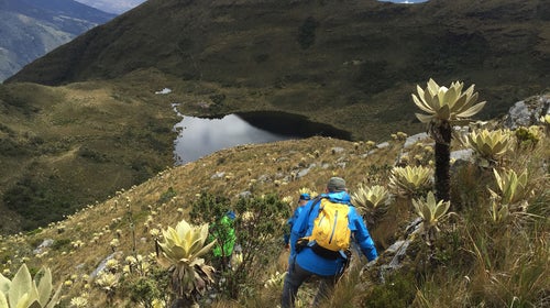 How does a war-torn country revive it's tourism industry?