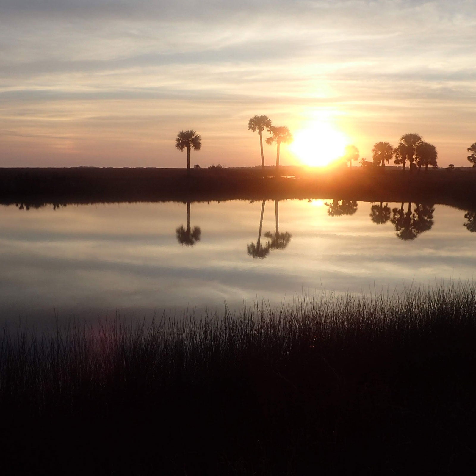 The Florida National Scenic Trail might sound easy. It’s not.