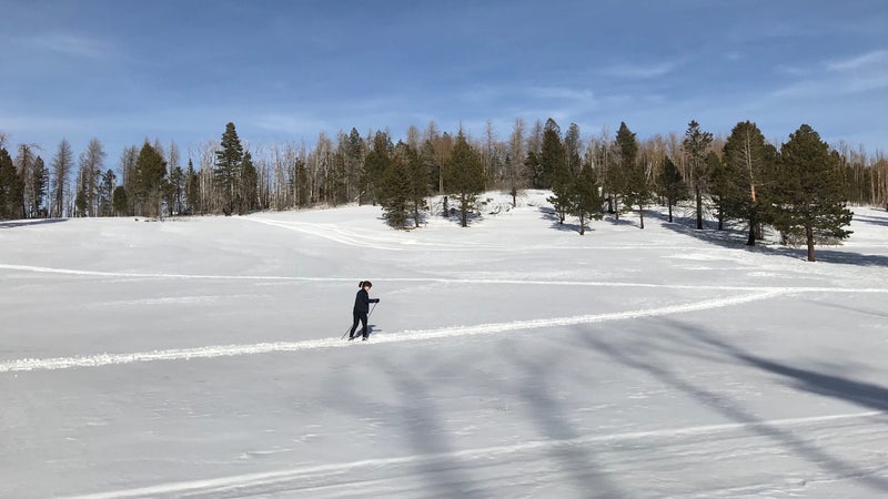 The author on her skis