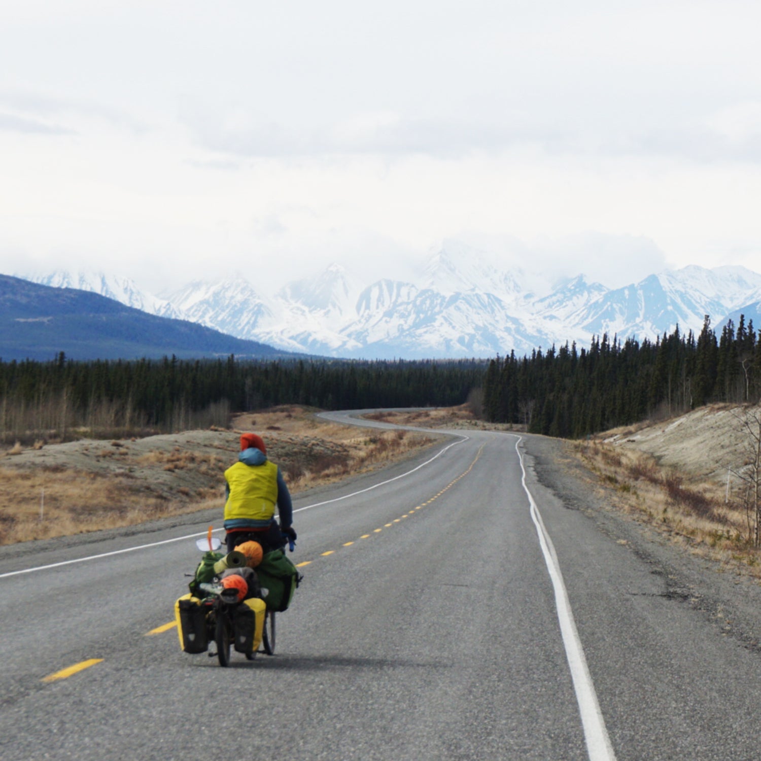 They ascended 20,310-foot Denali from the north side. Then they skied off the summit.