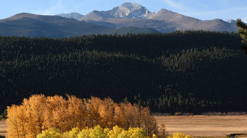 Where to get away on a budget