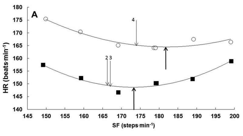 Finding Your Optimal Running Cadence