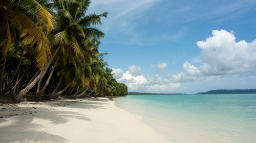 Who was John Chau? What was he looking for? What did he find?