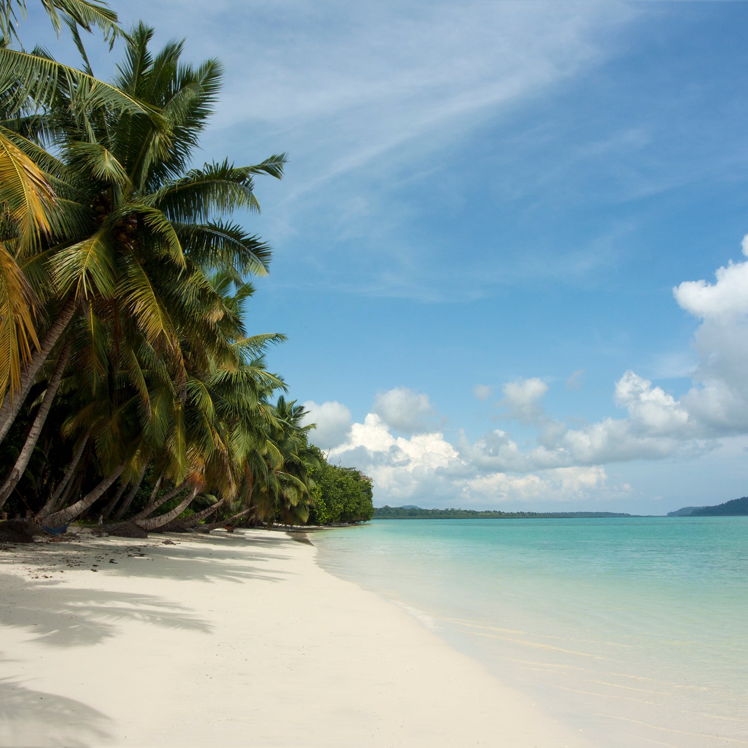 Who was John Chau? What was he looking for? What did he find?