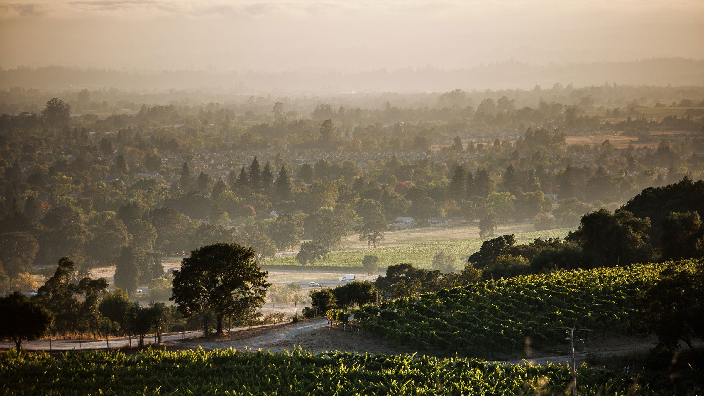 Santa Rosa still needs your tourism dollars.