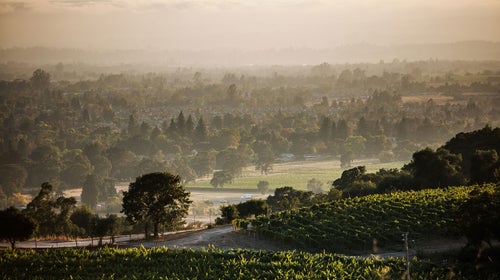 Santa Rosa still needs your tourism dollars.