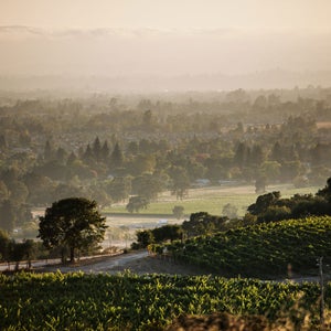 Santa Rosa still needs your tourism dollars.