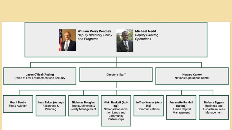 The BLM updated its org chart with Pendley at its top, but issued no announcement on the subject and is not responding to any press inquiries.