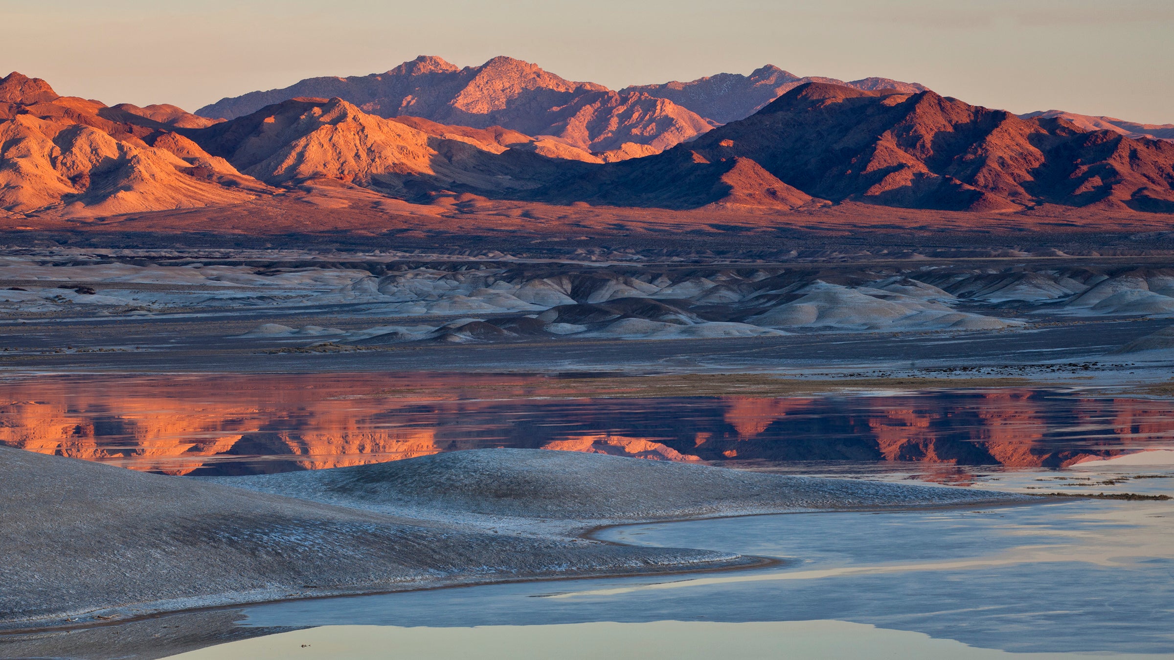 Often called the "Crown Jewel of the Mojave Desert," the Amargosa is the only free-flowing river in the Death Valley region of the Mojave, providing a rare and lush riparian area in the desert. When places like this are destroyed, they will be destroyed forever. 