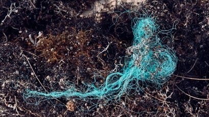 Fibers are a particularly dangerous type of waste plastic.