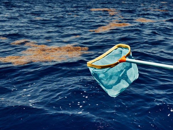 Fishing for plastic in the Sargasso Sea
