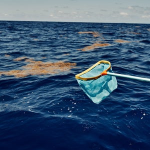 Fishing for plastic in the Sargasso Sea