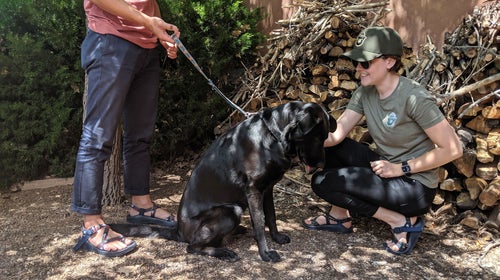 Celebrate with Smokey as he turns 75.