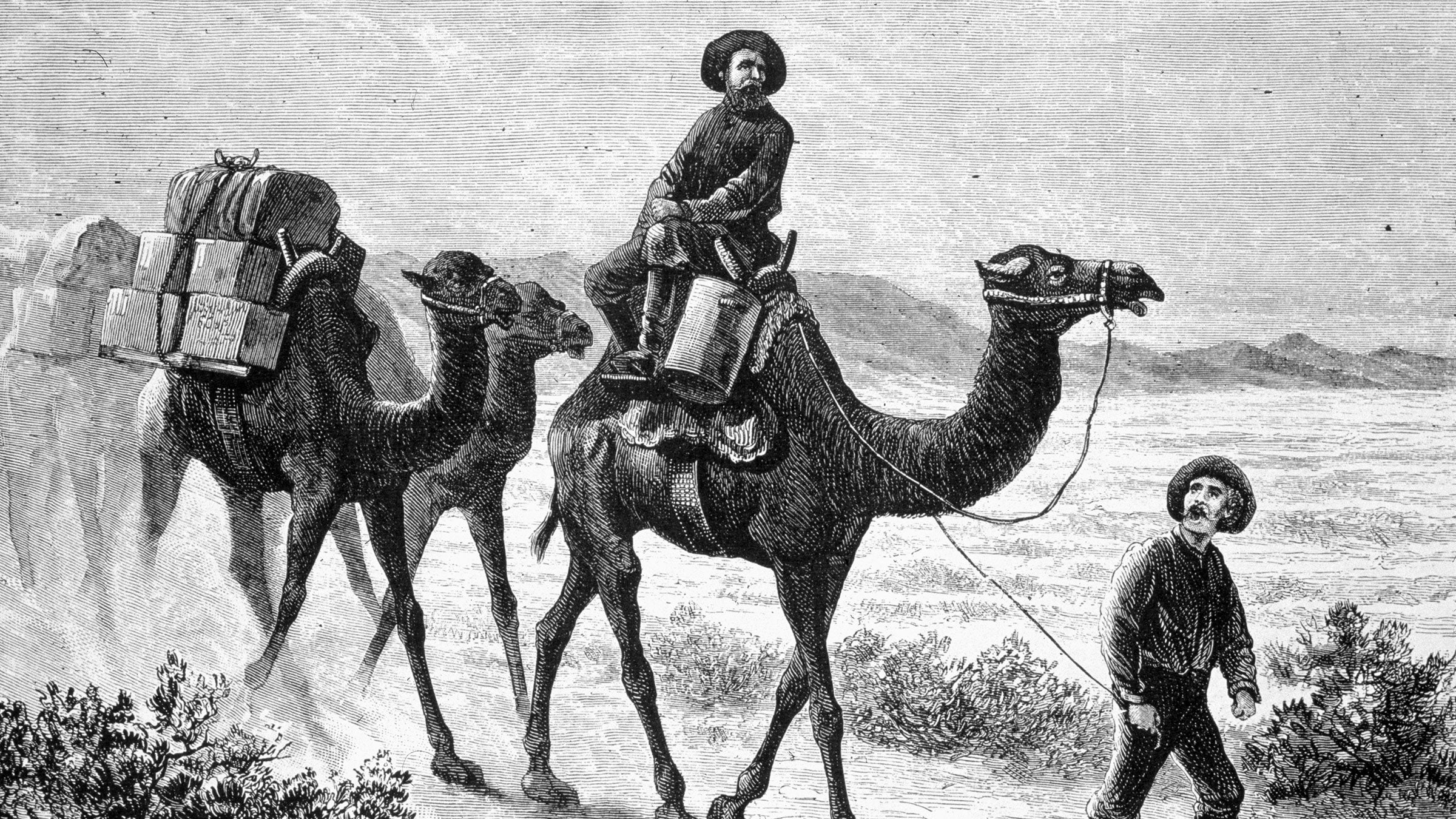 Members of the U.S. Camel Corps in the southwestern desert in 1857