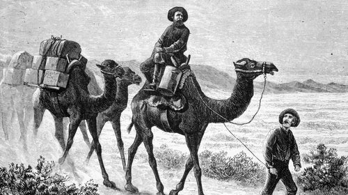 Members of the U.S. Camel Corps in the southwestern desert in 1857