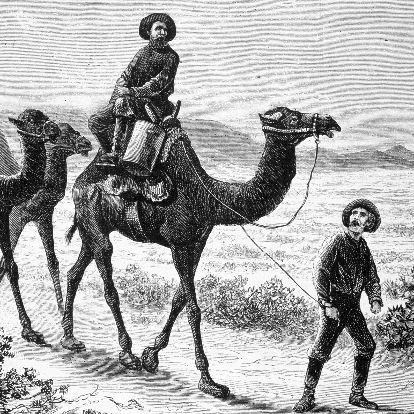 Members of the U.S. Camel Corps in the southwestern desert in 1857