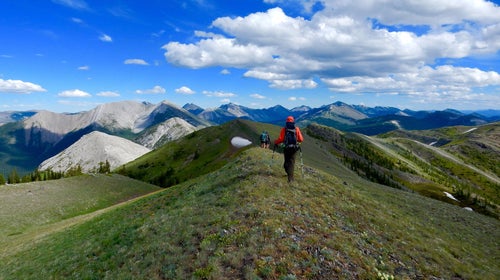 These are the best guides in the business.