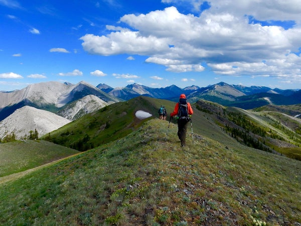 These are the best guides in the business.