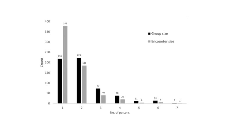 Size of groups of people involved in human-bear conflicts in Alaska