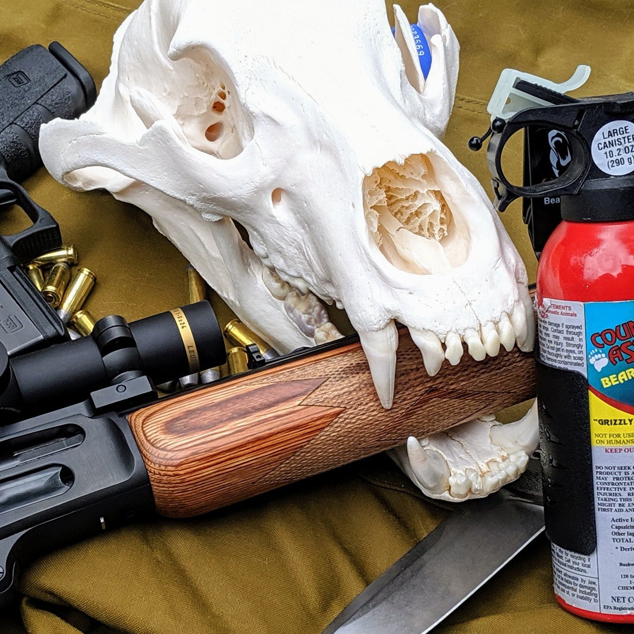 Bear Spray vs. Gun: How to Stop a Charging Bear - Outside Online