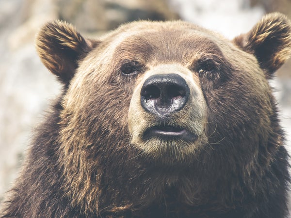 Meet the man trying to keep faces like this one safe.