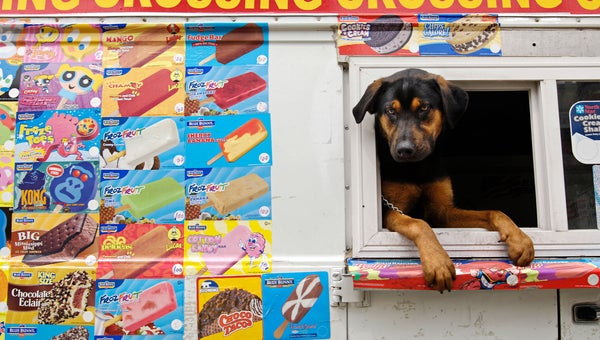 Next time you see an ice cream truck, dig for your nickels and dimes and buy yourself a popsicle.