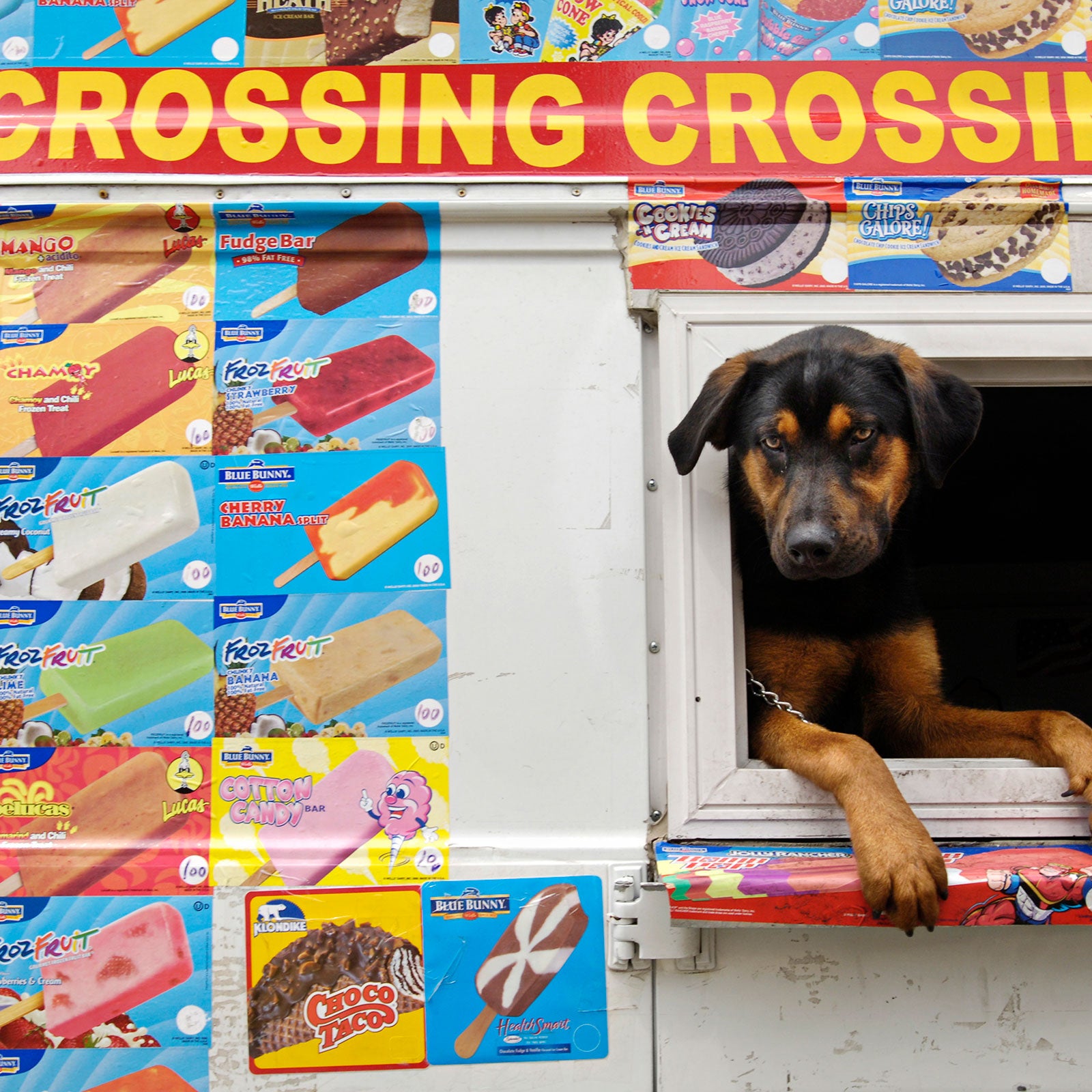 Next time you see an ice cream truck, dig for your nickels and dimes and buy yourself a popsicle.