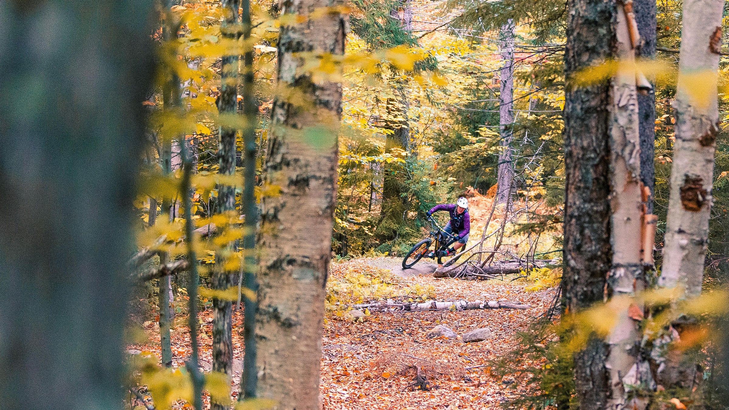 Ride Vermont's Rail Trails – VT SKI + RIDE