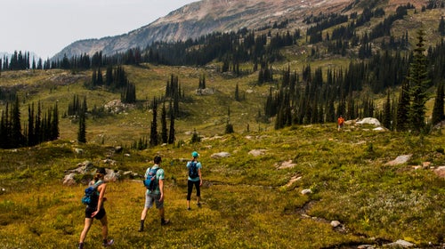 The art of altitude training is trickier than you might suspect.