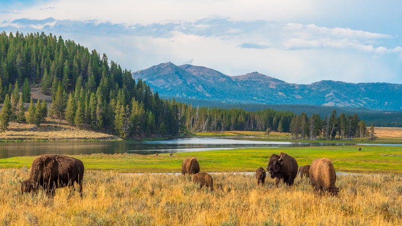 National Parks