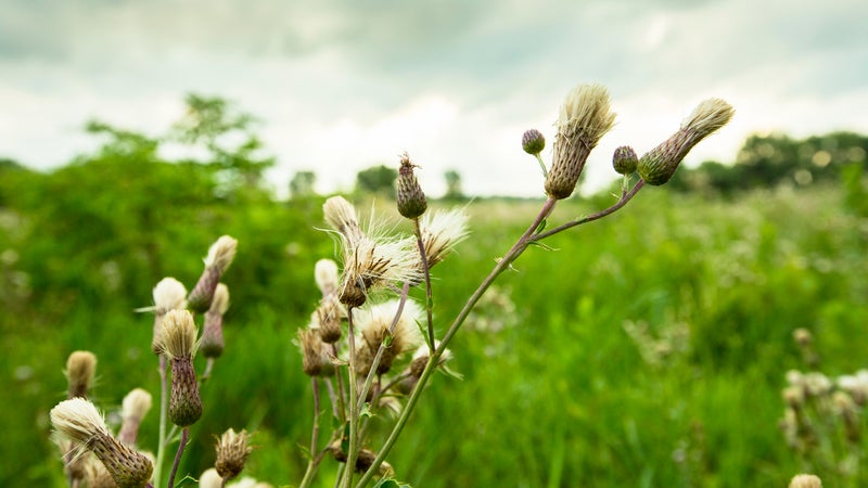 National Wildlife Refuge