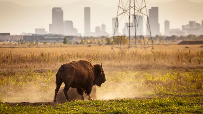 National Wildlife Refuge