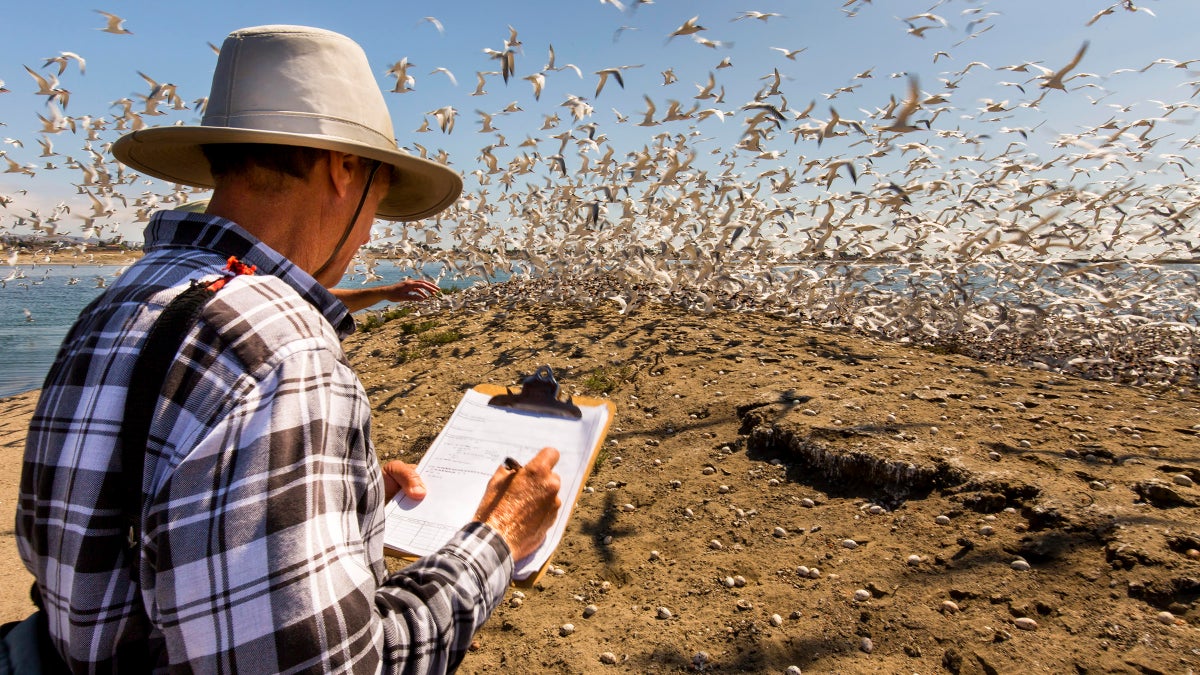 7 National Wildlife Refuges Just ϳԹ Major Cities