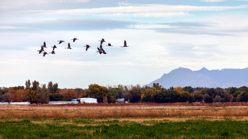 National Wildlife Refuge