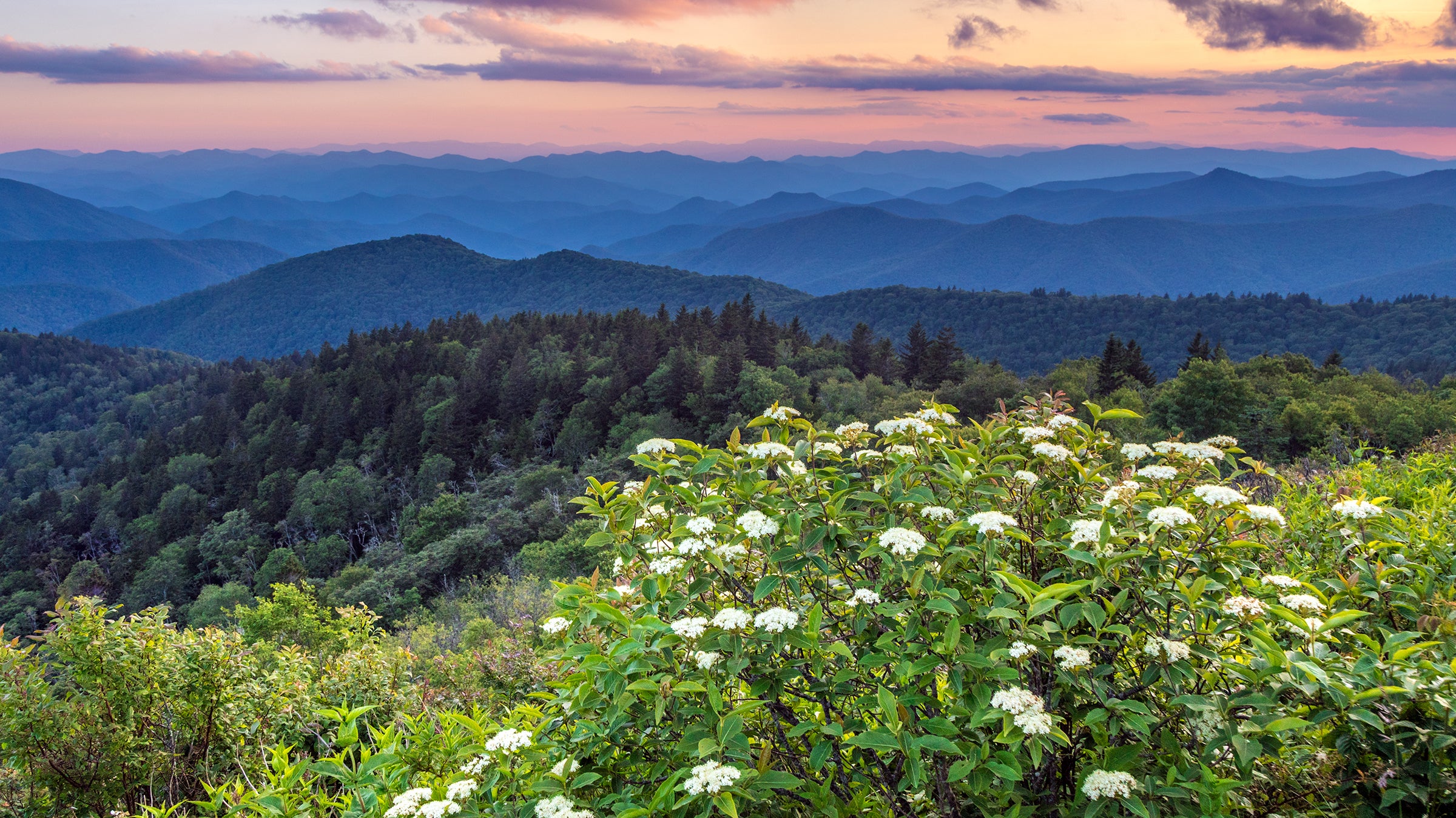 The Great Smoky Mountains National Park Guide - Outside Online