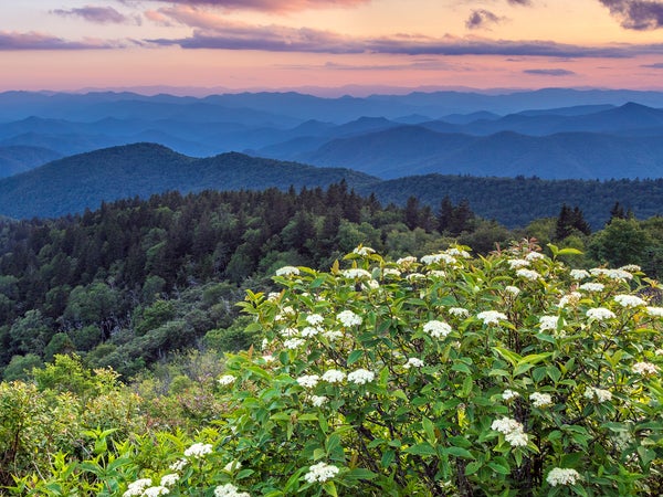 Blue Ridge mountain great smoky mountains national park