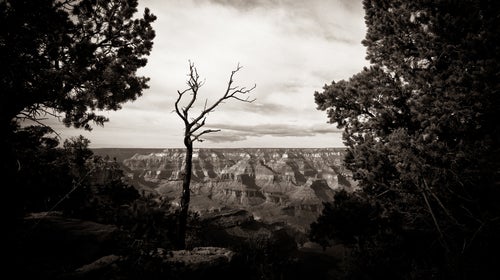 While the drama has largely gone unseen by the park’s six million annual visitors, the toxic work environment has taken a heavy toll on employees.
